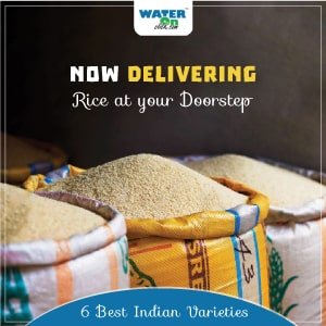 Rice-Online-Marketing