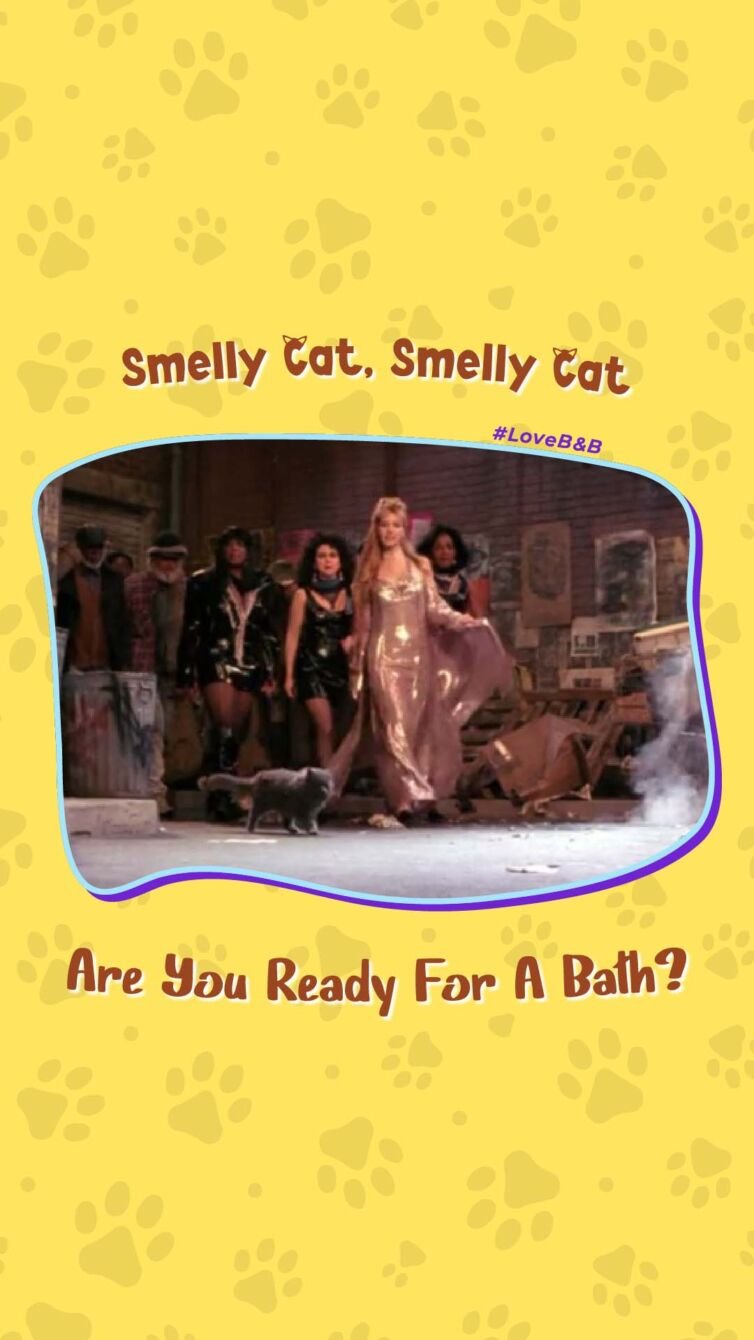 B_B Smelly Cat Thumbnail
